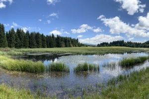 ILGAZIMIZDAN GÖRÜNTÜLER