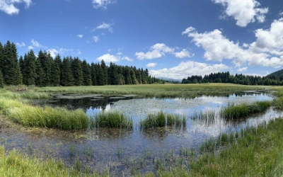 ILGAZIMIZDAN GÖRÜNTÜLER