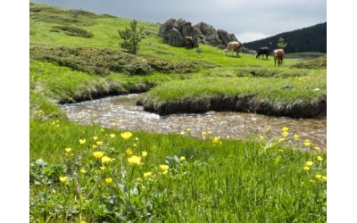 ılgaz
